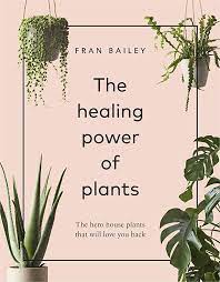 Harnessing the Power of Plants: Nature's Miracles for Well-Being