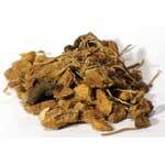 Solomon's Seal Root cut 1oz (Polygonatum species)