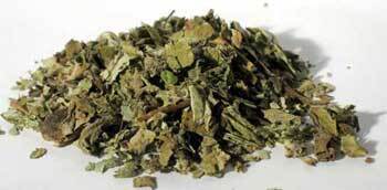 Coltsfoot Leaf 2oz (Tussilago farfara)